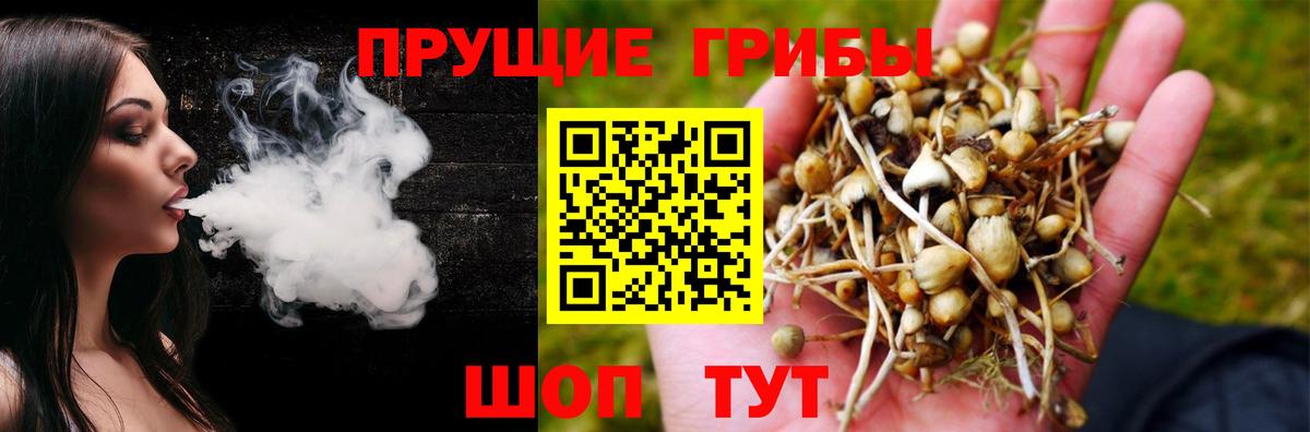 Ялуторовск  Псилоцибиновые грибы GOLDEN TEACHER  Вход с VPN 